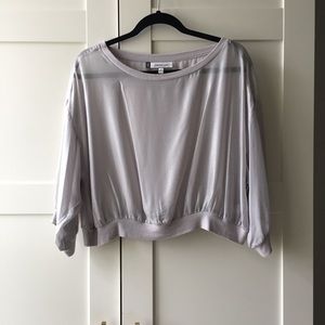 Sheer Metallic Crop Top